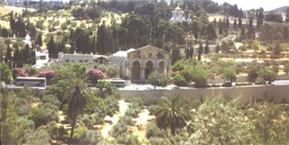 mount of olives